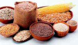 food_image